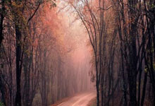 开云体育在线-安联奇迹夜！拜仁血色逆袭撕裂欧冠夜幕