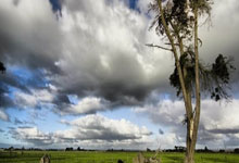 开云体育登录-鹿岛鹿角防守细节优化，力求稳固后防