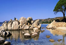 开云平台-荆棘远征：冠军魂的淬炼之路