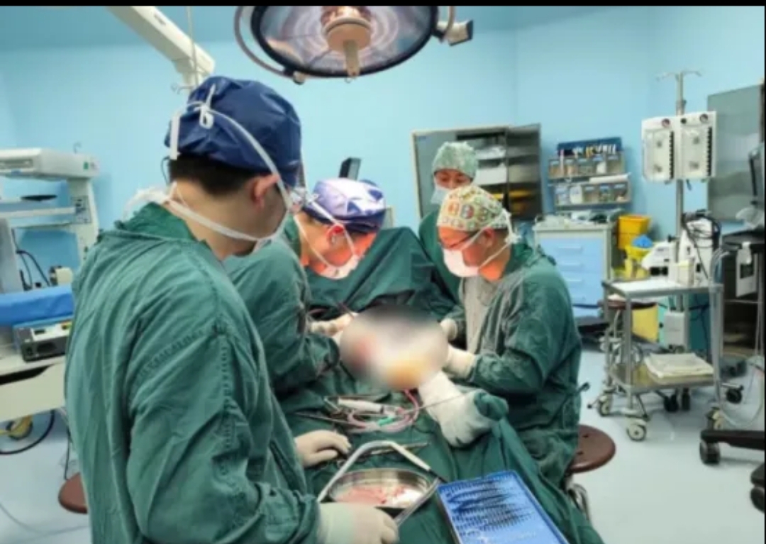 里尔前锋重伤：医生呼吁小心保护球员的简单介绍