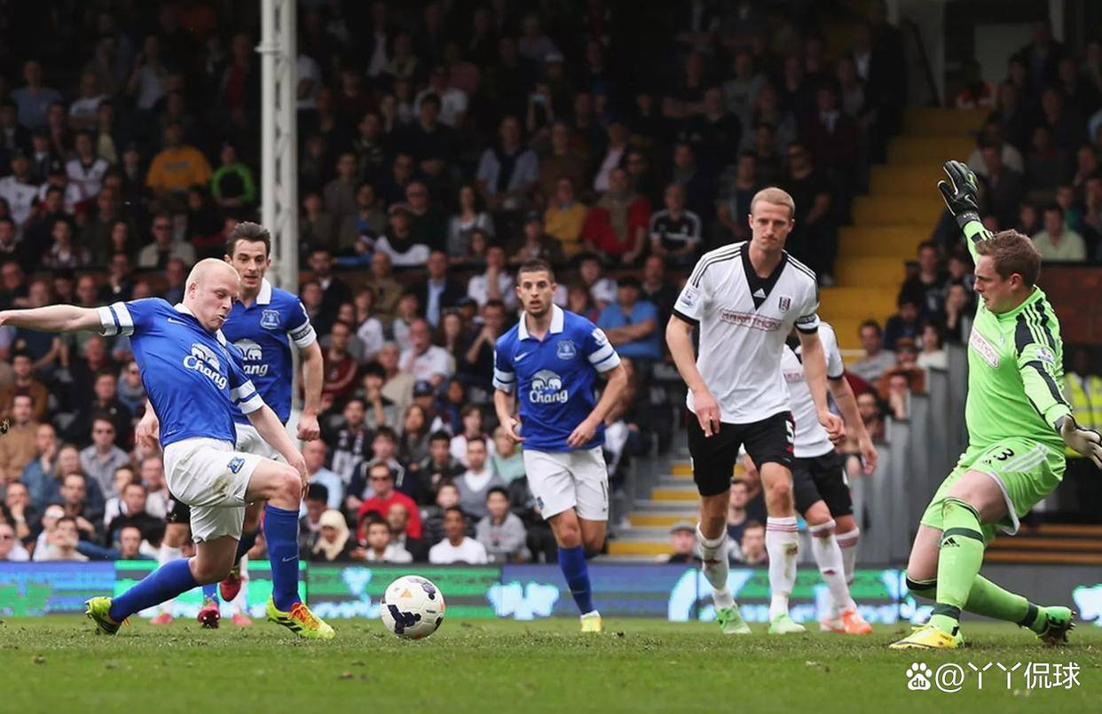 诺维奇城遭埃弗顿逆转,遗憾失利的简单介绍 诺维奇城遭埃弗顿逆转,遗憾失利的简单介绍