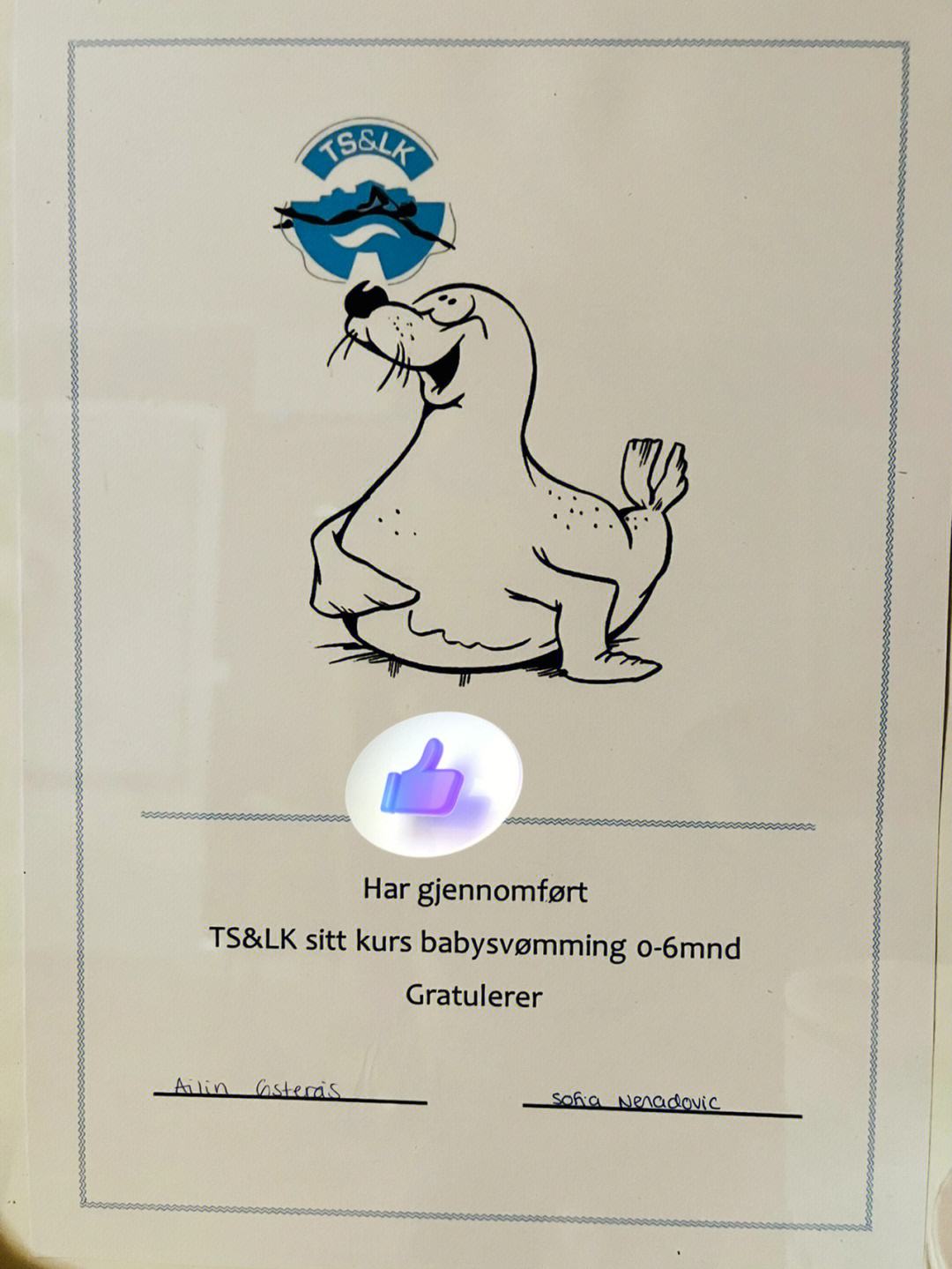 挪威游泳选手神乎其技，夺得银牌