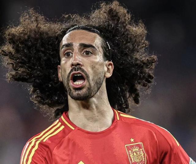 瑞典队晋级欧洲杯半决赛,实力不可小觑 瑞典队晋级欧洲杯半决赛,实力不可小觑