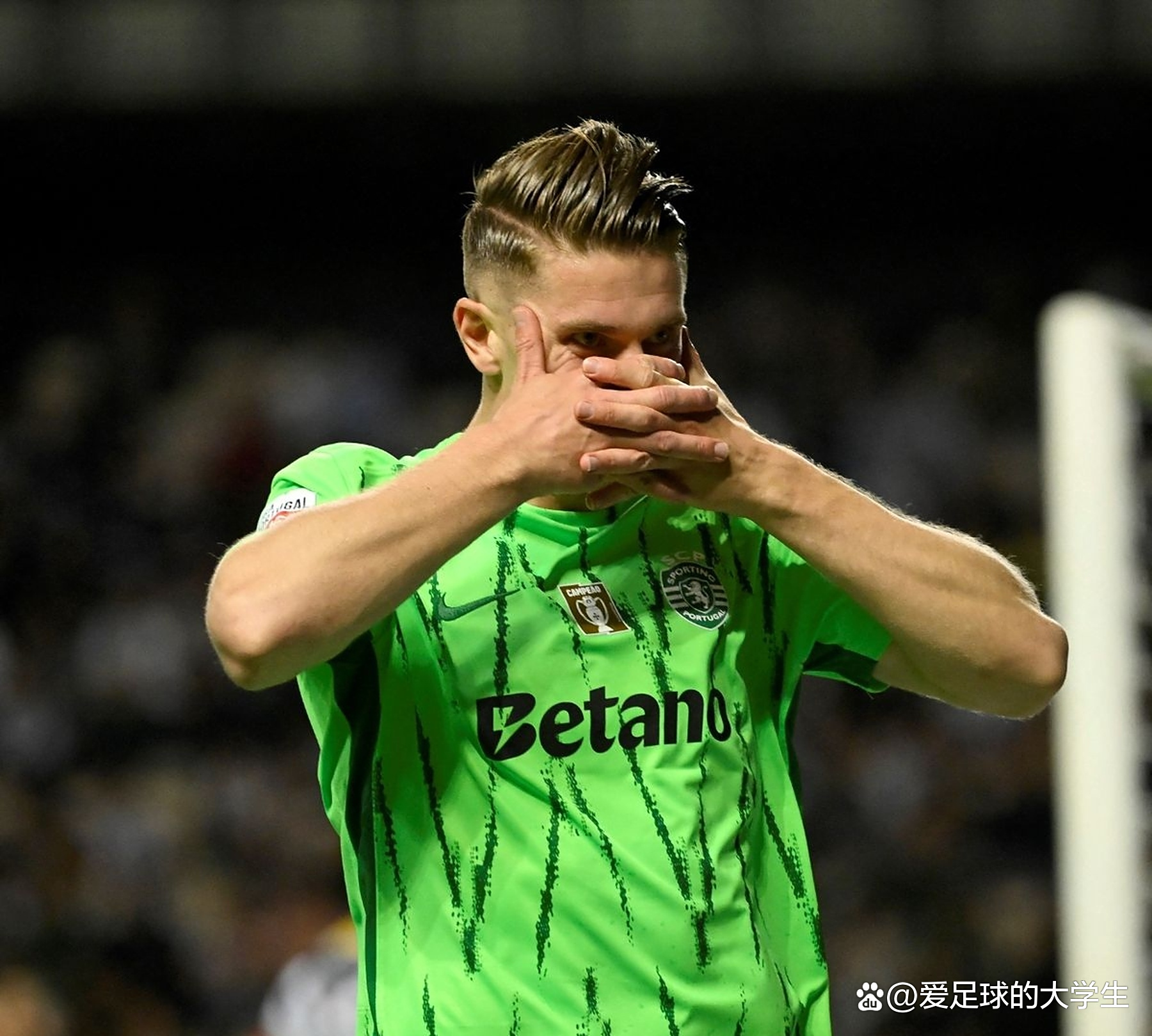 瑞典篮球职业球员转会传闻不断，未来未卜