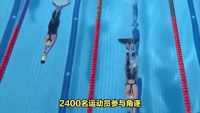 塞浦路斯游泳选手表现出色,斩获金牌 塞浦路斯游泳选手表现出色,斩获金牌