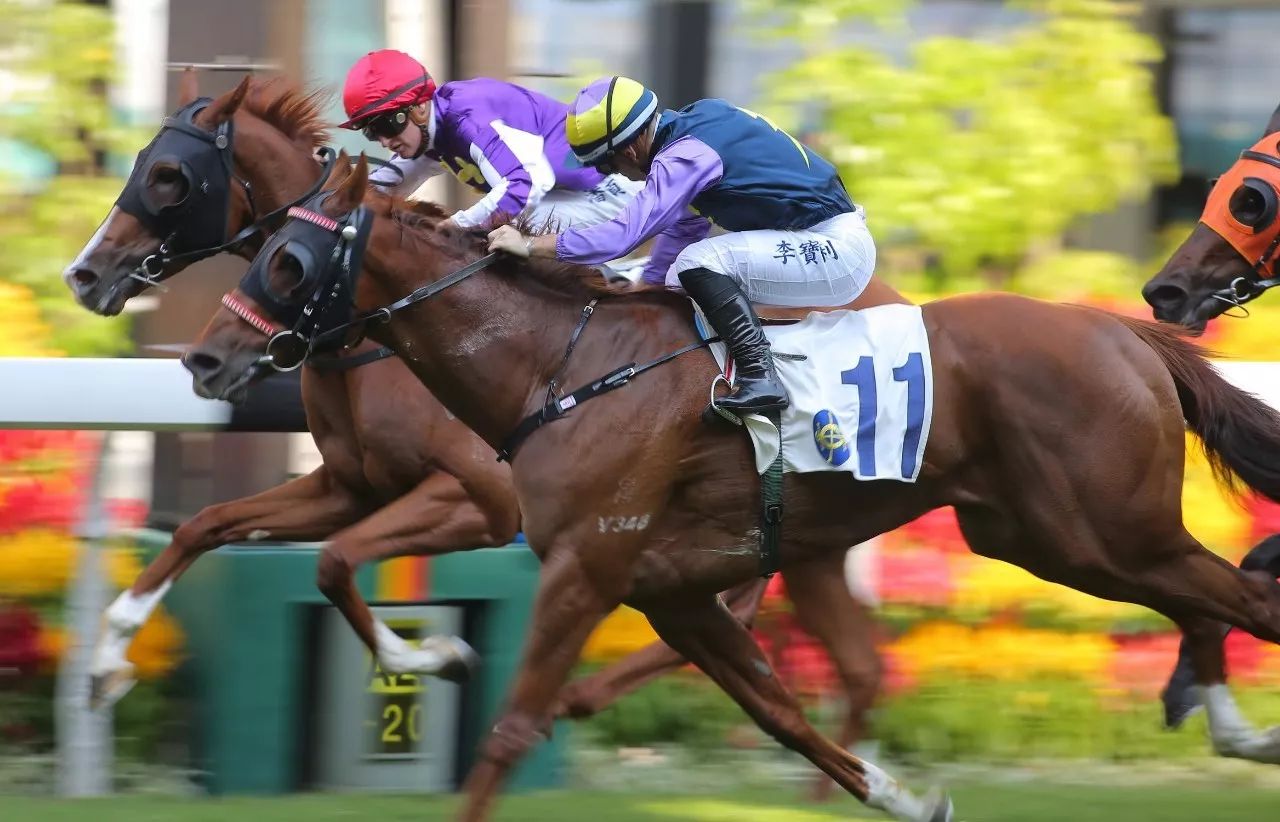 包含欧洲篮球盛典迎来新季,球队实力竞逐的词条 包含欧洲篮球盛典迎来新季,球队实力竞逐的词条